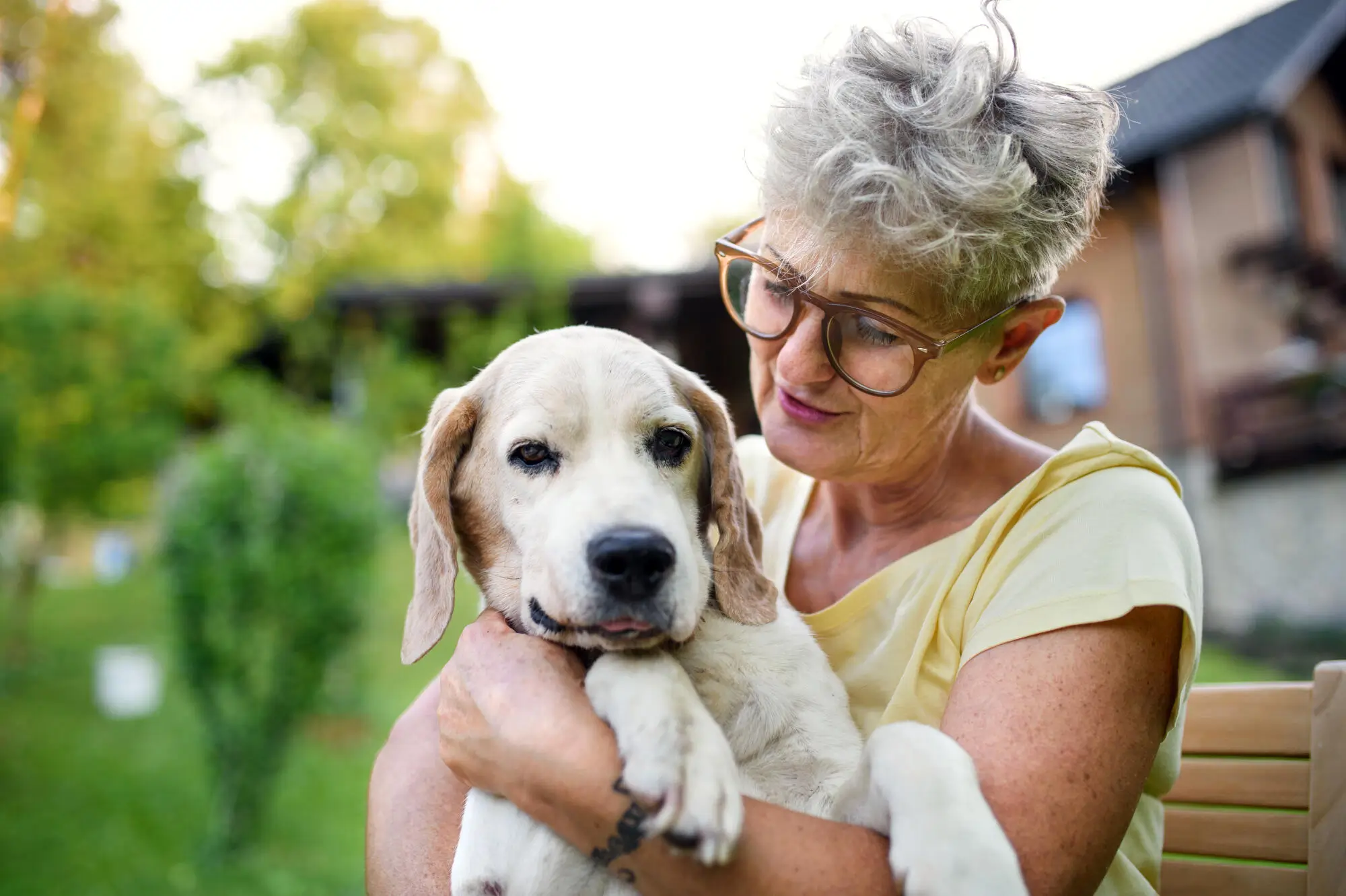 Pets in a Community: Understanding HOA Pet Policies in Katy, TX